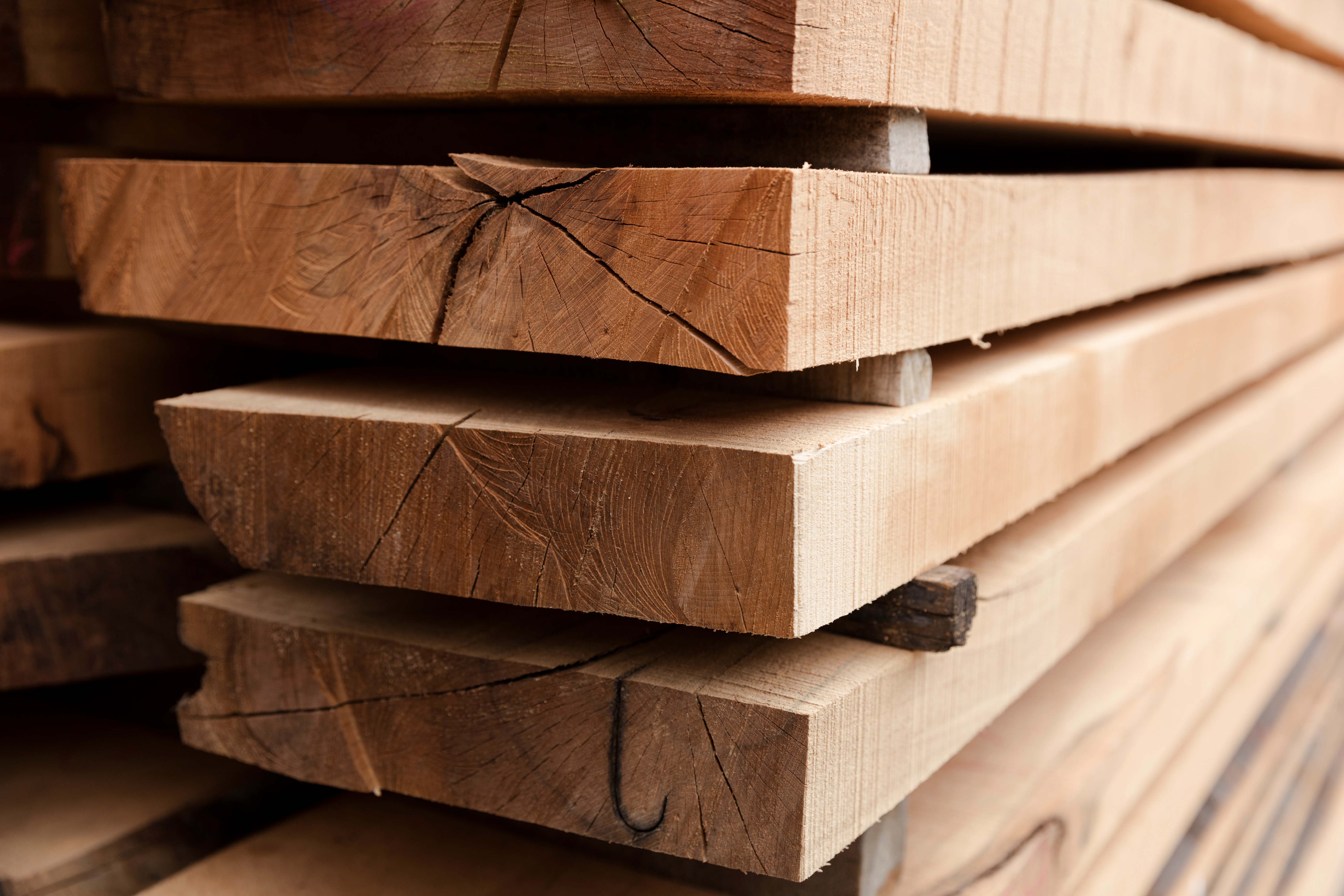 Buchumschlag von Holz: erneuerbarer Rohstoff mit Potenzial