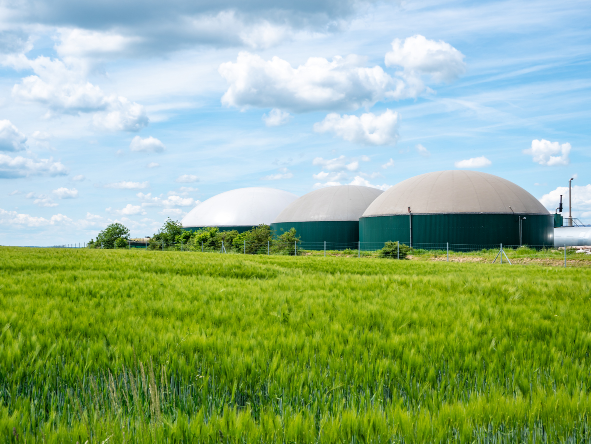 Buchumschlag von Biogasanlagen in der Landwirtschaft, teilrevidierte Ausgabe 2021