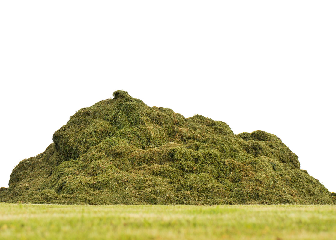 Buchumschlag von Erhalt ökologisch wertvoller Grünlandstandorte durch eine integrierte Festbrennstoff- und Biogasproduktion aus Biomasse (IFBB-Verfahren)