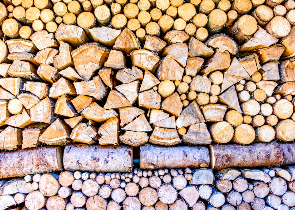 Buchumschlag von Energieholzproduktion in der Landwirtschaft Chancen und Risiken aus Sicht des Natur- und Umweltschutzes