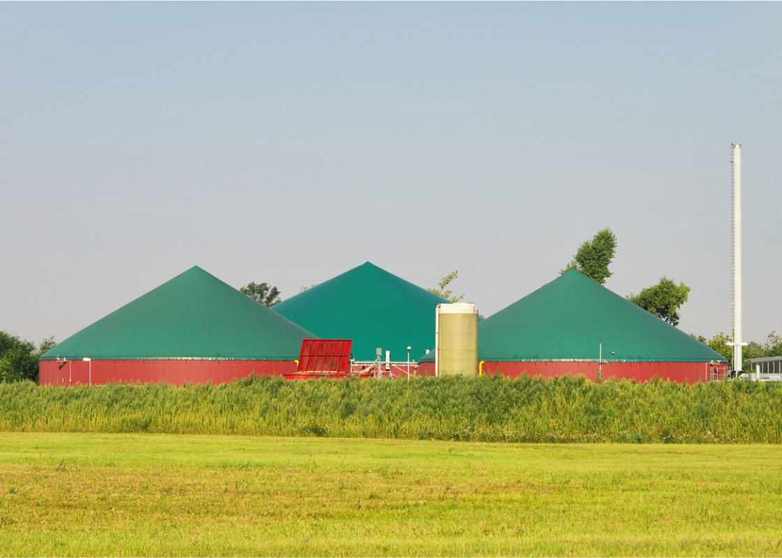 Buchumschlag von Leitfaden Biogas