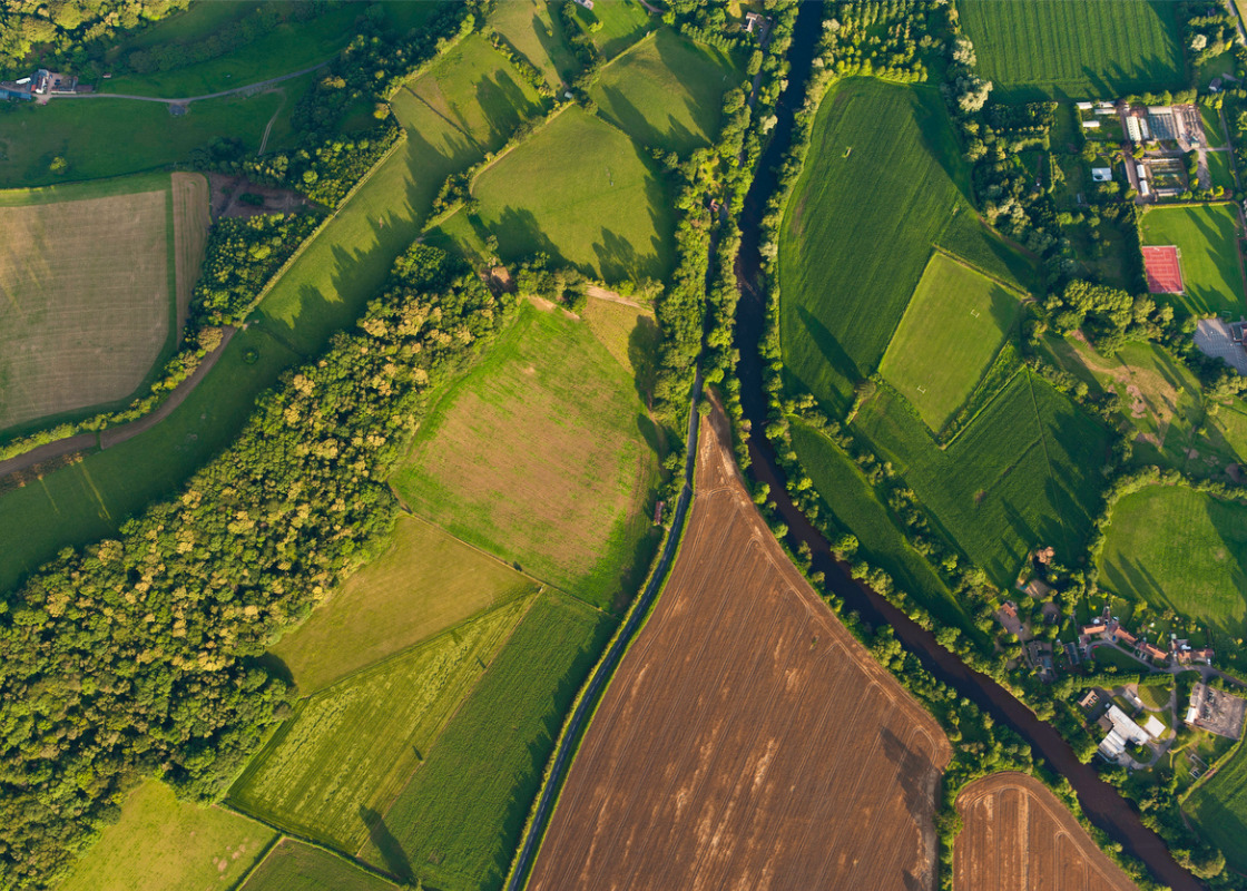 Buchumschlag von Bioenergy, Land Use Change and Climate Change Mitigation
