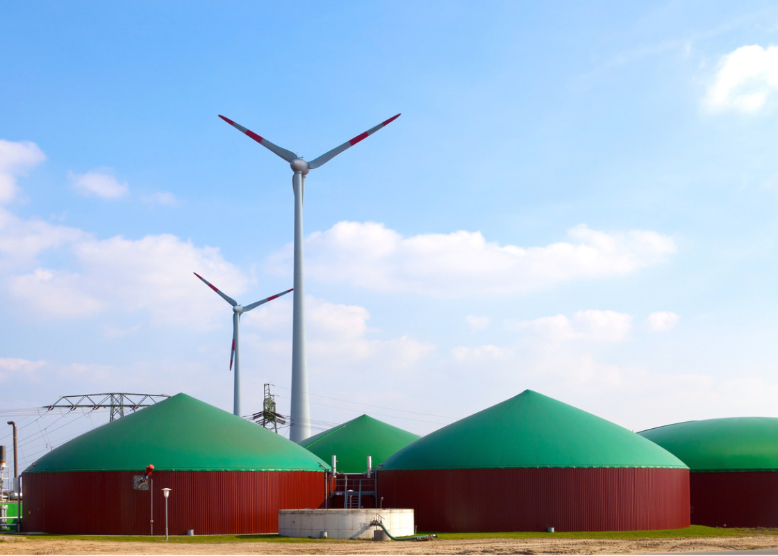 Buchumschlag von Biogas als wichtige erneuerbare Energiequelle in Deutschland