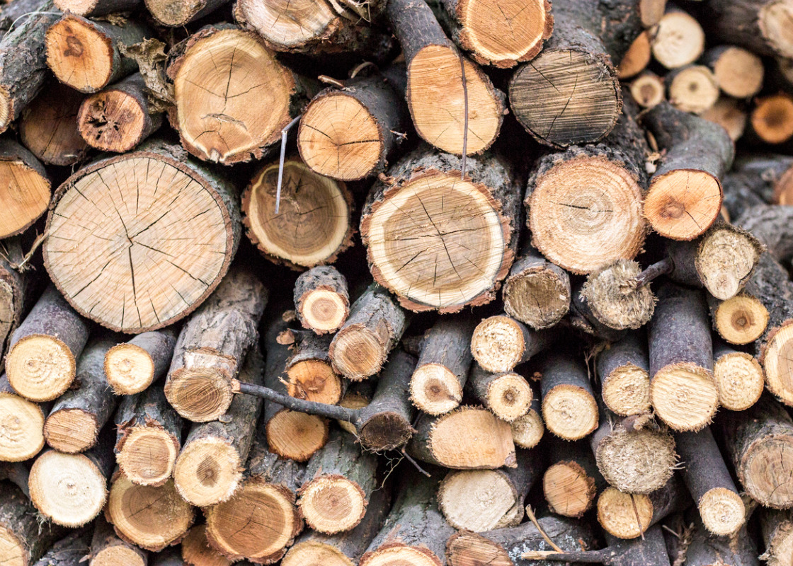 Buchumschlag von Die Rolle der energetischen Biomassenutzung in der Wertschöpfungskette Holz