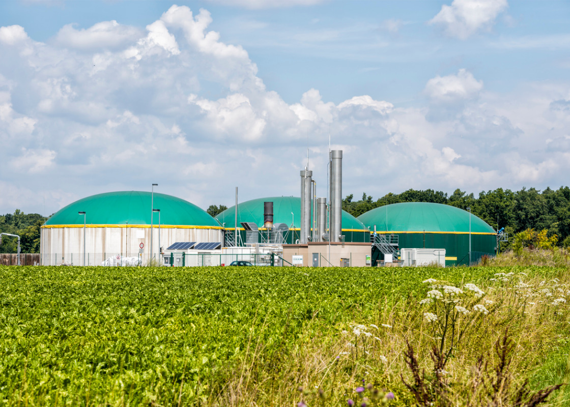 Buchumschlag von Potenziale zur Steigerung der Leistungsfähigkeit von Biogasanlagen