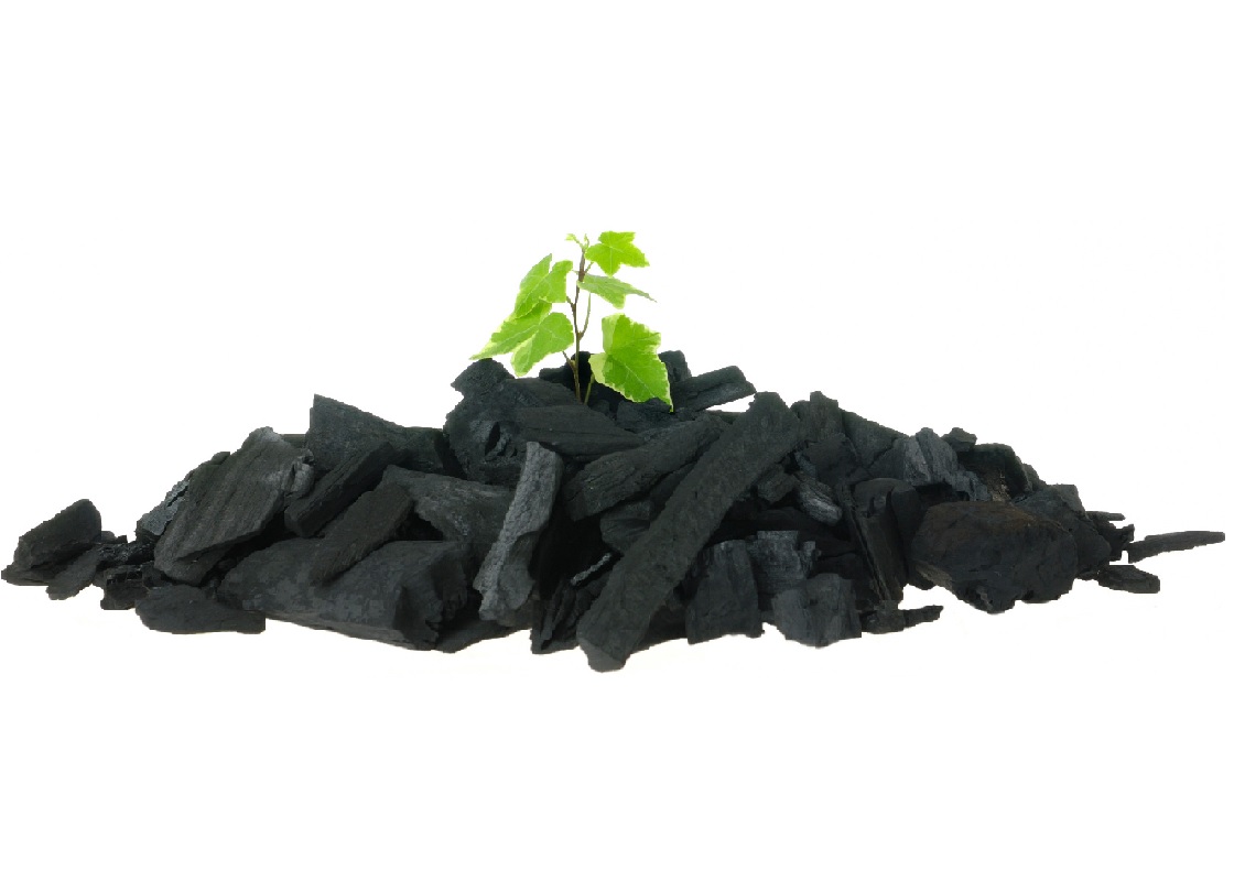 Buchumschlag von Chancen und Risiken des Einsatzes von Biokohle und anderer „veränderter“ Biomasse als Bodenhilfsstoffe oder für die C-Sequestrierung in Böden